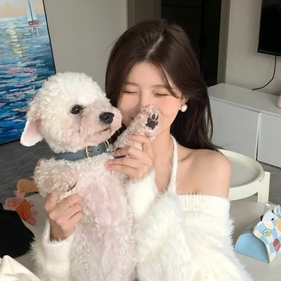 偶像必须单身